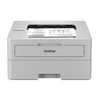 Picture of HL-L2865DWVSP printer